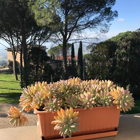 Collepepe Villa Maria מראה חיצוני תמונה